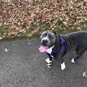 Meet your Posher, Ceneca